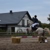 bABIE lATO 2018